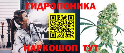 эйфоретик Можга